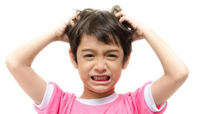 a mi hijo le pica la cabeza